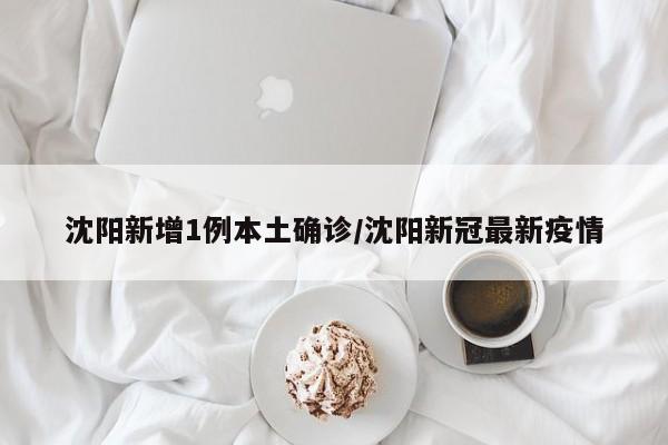 沈阳新增1例本土确诊/沈阳新冠最新疫情