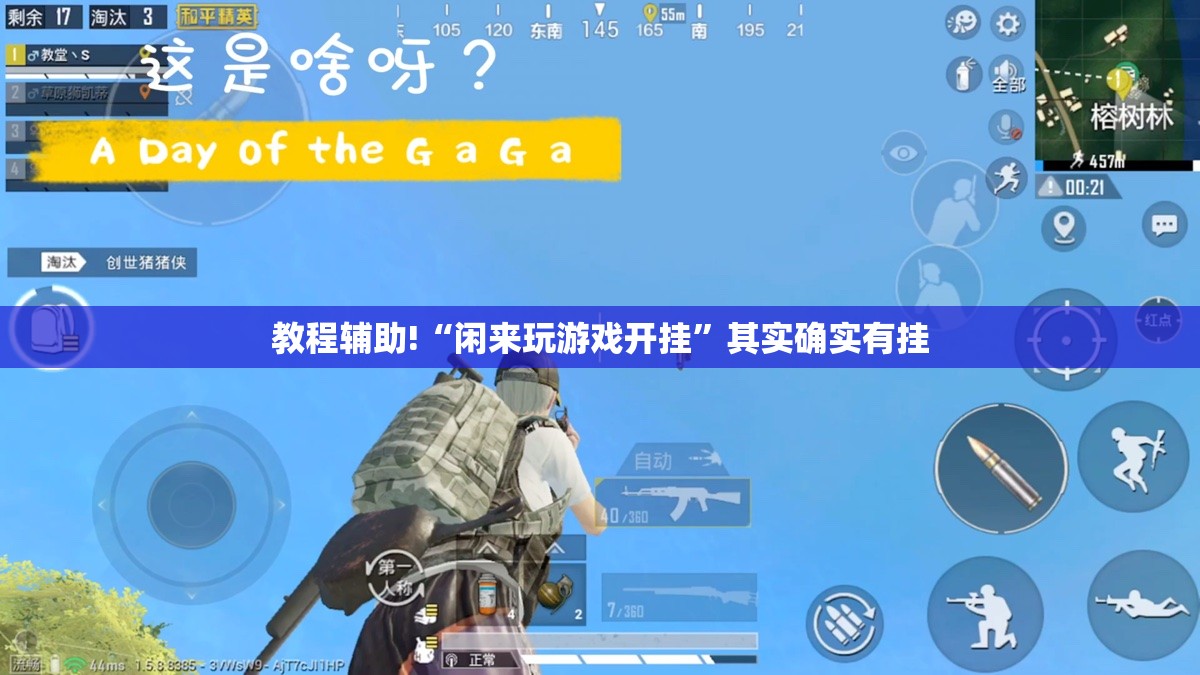 教程辅助!“闲来玩游戏开挂”其实确实有挂
