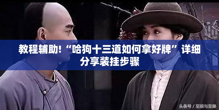 教程辅助!“哈狗十三道如何拿好牌”详细分享装挂步骤