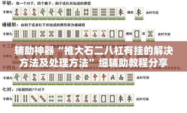 辅助神器“推大石二八杠有挂的解决方法及处理方法”细辅助教程分享