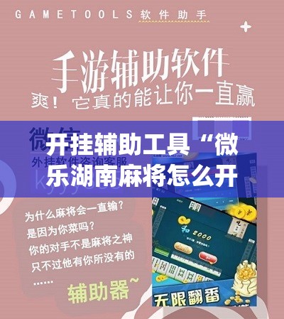 开挂辅助工具“微乐湖南麻将怎么开免费的挂”(免费)开挂辅助教学(最新辅助开挂教程)