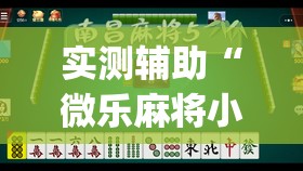 实测辅助“微乐麻将小程序挂”(透视挂)辅助下载教程
