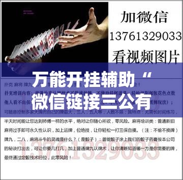 万能开挂辅助“微信链接三公有挂吗	”(透视)其实确实有挂