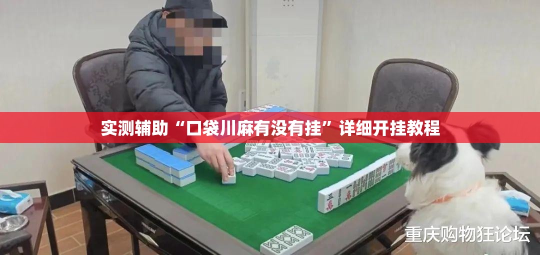 实测辅助“口袋川麻有没有挂	”详细开挂教程
