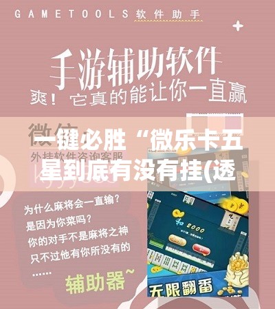 一键必胜“微乐卡五星到底有没有挂(透视)	”开挂辅助脚本+详细开挂安装教程