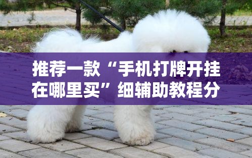推荐一款“手机打牌开挂在哪里买	”细辅助教程分享