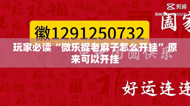 玩家必读“微乐捉老麻子怎么开挂”原来可以开挂