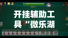 开挂辅助工具“微乐湖南麻将怎么开挂	”其实确实有挂