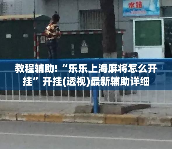 教程辅助!“乐乐上海麻将怎么开挂”开挂(透视)最新辅助详细
