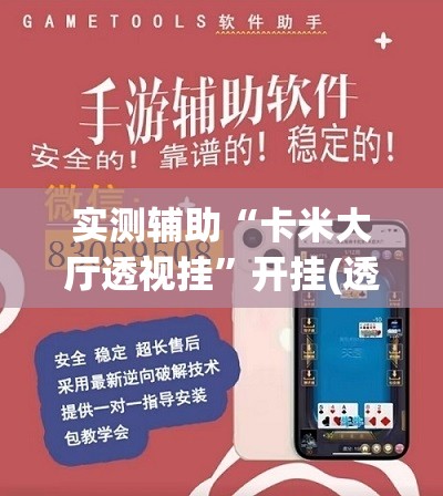 实测辅助“卡米大厅透视挂”开挂(透视)辅助教程