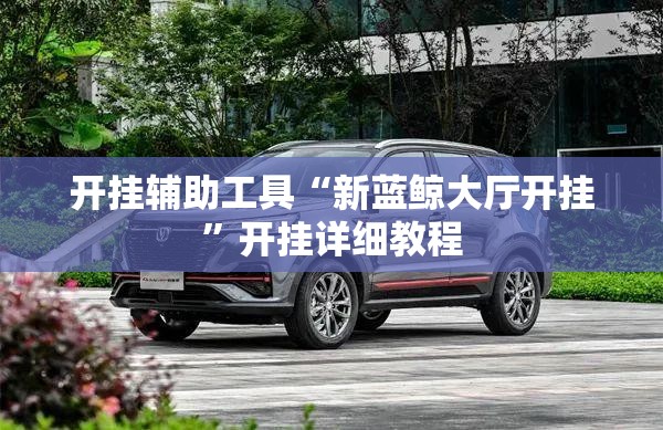 开挂辅助工具“新蓝鲸大厅开挂”开挂详细教程