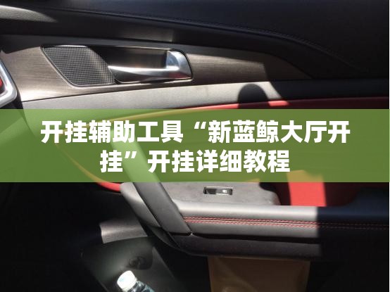 开挂辅助工具“新蓝鲸大厅开挂”开挂详细教程