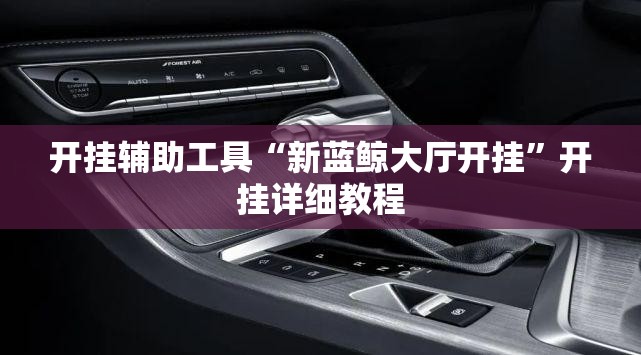 开挂辅助工具“新蓝鲸大厅开挂”开挂详细教程