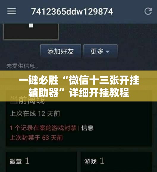 一键必胜“微信十三张开挂辅助器	”详细开挂教程