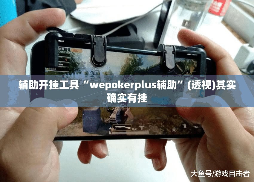 辅助开挂工具“wepokerplus辅助”(透视)其实确实有挂