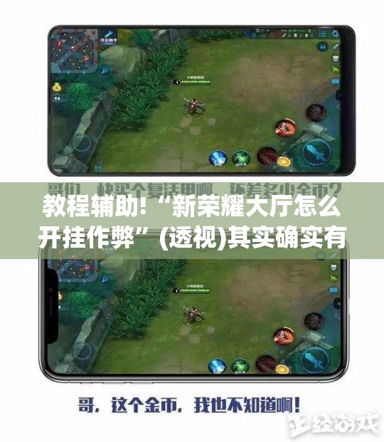 教程辅助!“新荣耀大厅怎么开挂作弊”(透视)其实确实有挂
