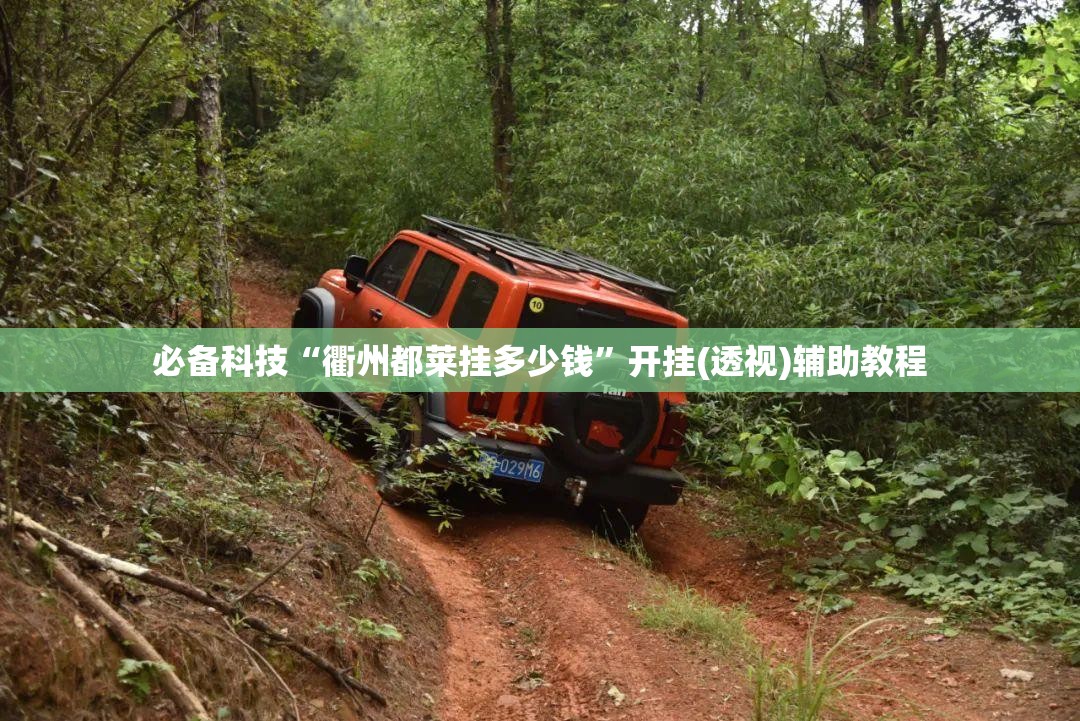 必备科技“衢州都莱挂多少钱	”开挂(透视)辅助教程