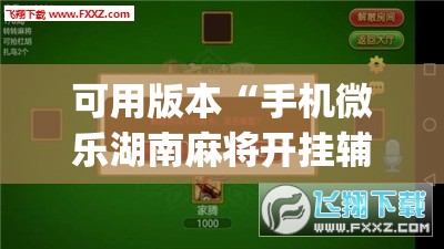 可用版本“手机微乐湖南麻将开挂辅助器通用版”(透视)其实确实有挂