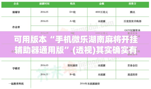 可用版本“手机微乐湖南麻将开挂辅助器通用版”(透视)其实确实有挂