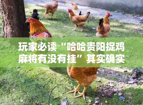 玩家必读“哈哈贵阳捉鸡麻将有没有挂”其实确实有挂
