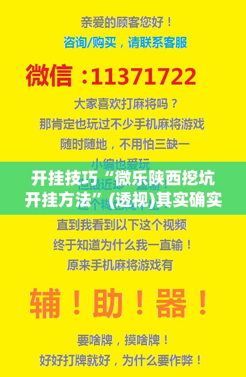 开挂技巧“微乐陕西挖坑开挂方法”(透视)其实确实有挂