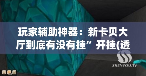 玩家辅助神器：新卡贝大厅到底有没有挂	”开挂(透视)辅助教程