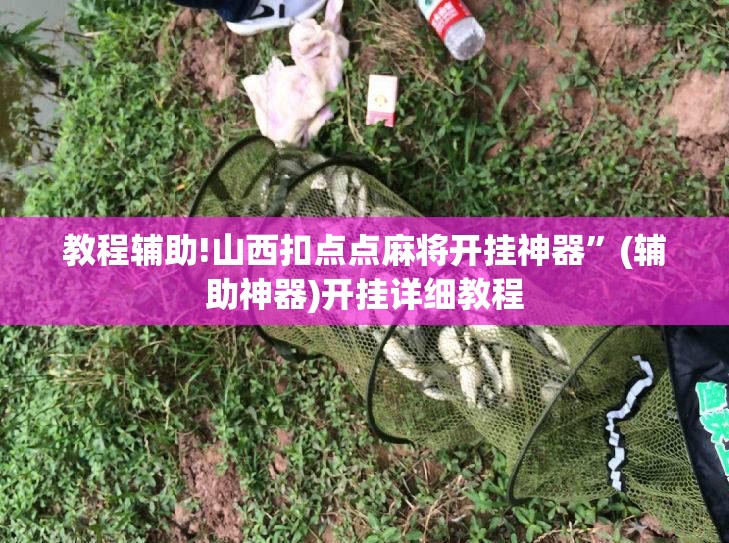 教程辅助!山西扣点点麻将开挂神器”(辅助神器)开挂详细教程