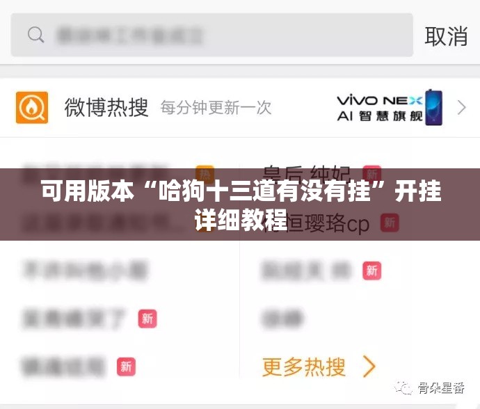 可用版本“哈狗十三道有没有挂”开挂详细教程