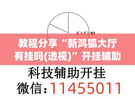 教程分享“新鸿狐大厅有挂吗(透视)”开挂辅助脚本+详细开挂安装教程