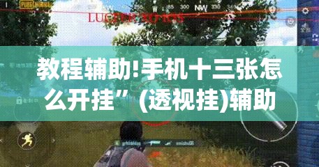 教程辅助!手机十三张怎么开挂	”(透视挂)辅助下载教程