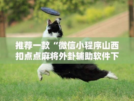 推荐一款“微信小程序山西扣点点麻将外卦辅助软件下载”开挂详细教程