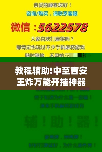 教程辅助!中至吉安王炸万能开挂神器(透视)”开挂辅助脚本+详细开挂安装教程