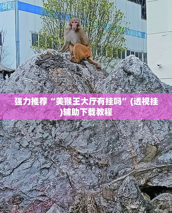 强力推荐“美猴王大厅有挂吗”(透视挂)辅助下载教程