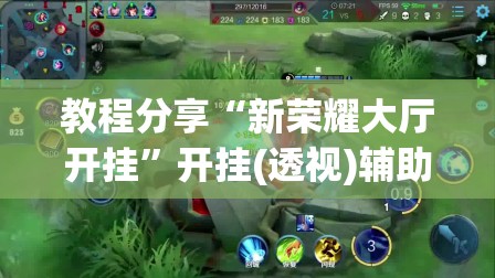 教程分享“新荣耀大厅开挂”开挂(透视)辅助神器