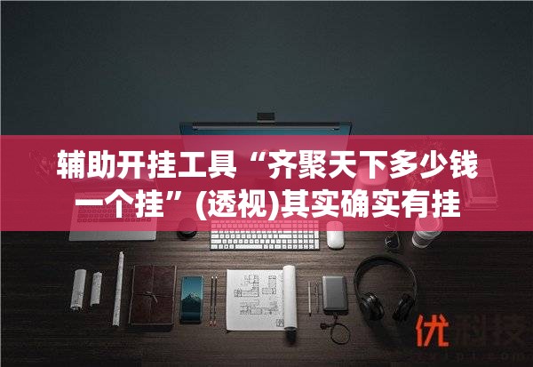 辅助开挂工具“齐聚天下多少钱一个挂”(透视)其实确实有挂