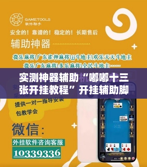 实测神器辅助“嘟嘟十三张开挂教程”开挂辅助脚本+详细开挂安装教程