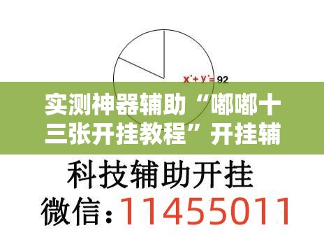 实测神器辅助“嘟嘟十三张开挂教程”开挂辅助脚本+详细开挂安装教程
