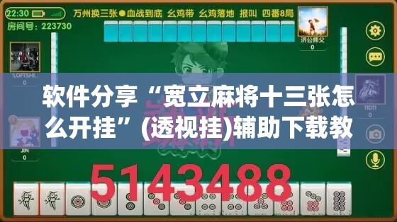 软件分享“宽立麻将十三张怎么开挂”(透视挂)辅助下载教程