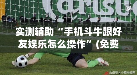 实测辅助“手机斗牛跟好友娱乐怎么操作	”(免费)开挂辅助教学(最新辅助开挂教程)