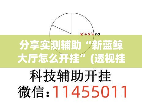 分享实测辅助“新蓝鲸大厅怎么开挂	”(透视挂)辅助下载教程