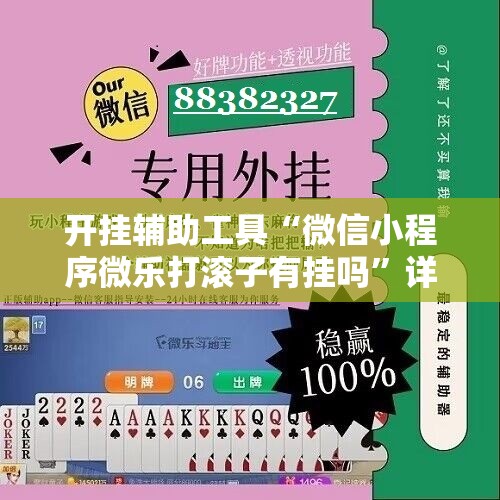 开挂辅助工具“微信小程序微乐打滚子有挂吗”详细外挂透视辅助软件教程