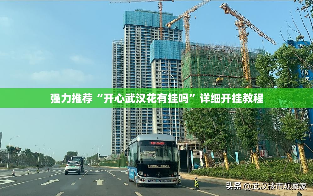 强力推荐“开心武汉花有挂吗”详细开挂教程