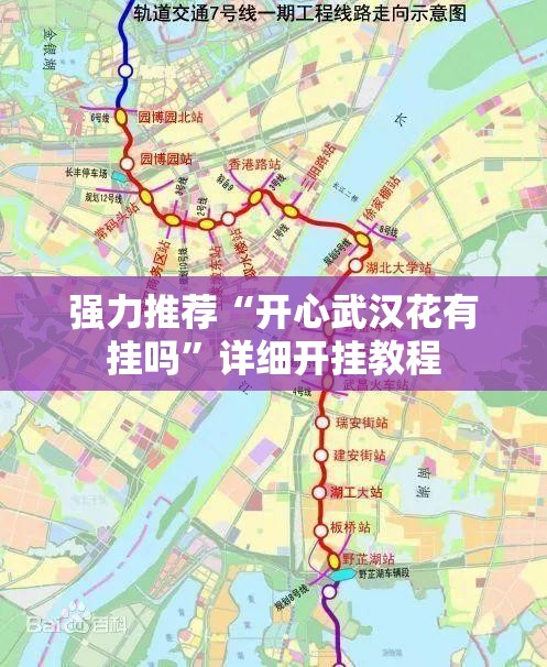 强力推荐“开心武汉花有挂吗”详细开挂教程