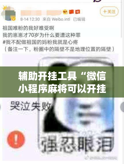 辅助开挂工具“微信小程序麻将可以开挂吗”(免费)开挂辅助教学(最新辅助开挂教程)
