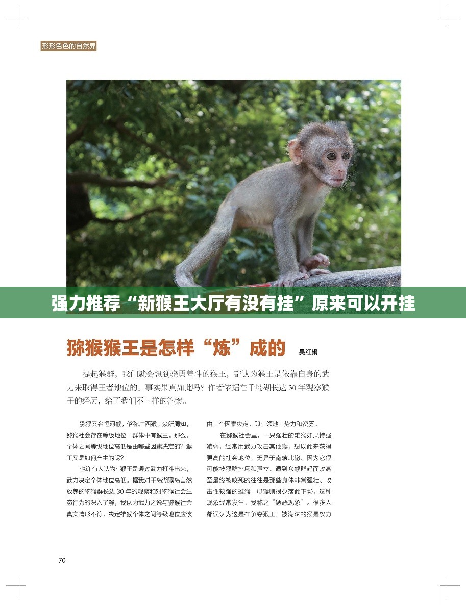 强力推荐“新猴王大厅有没有挂”原来可以开挂