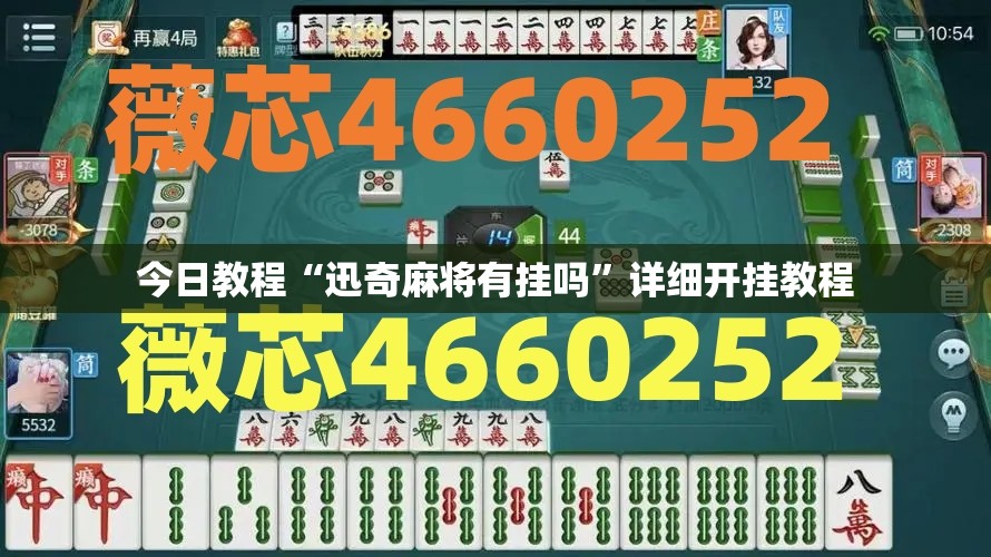 今日教程“迅奇麻将有挂吗”详细开挂教程
