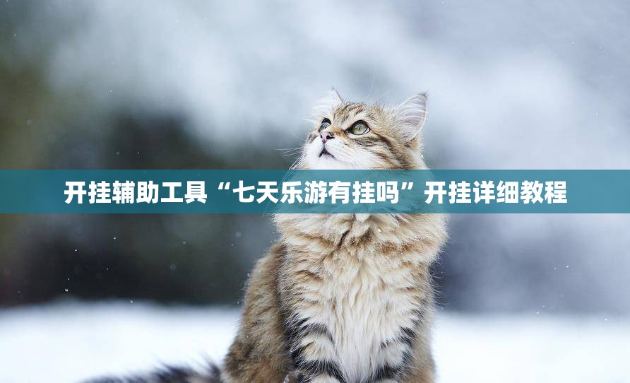开挂辅助工具“七天乐游有挂吗”开挂详细教程