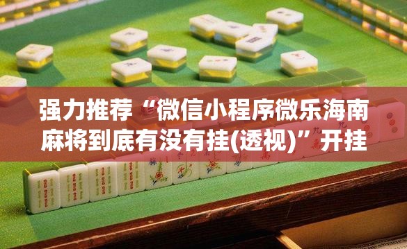 强力推荐“微信小程序微乐海南麻将到底有没有挂(透视)”开挂辅助脚本+详细开挂安装教程