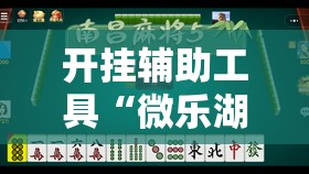 开挂辅助工具“微乐湖南麻将到底有没有挂”详细开挂教程