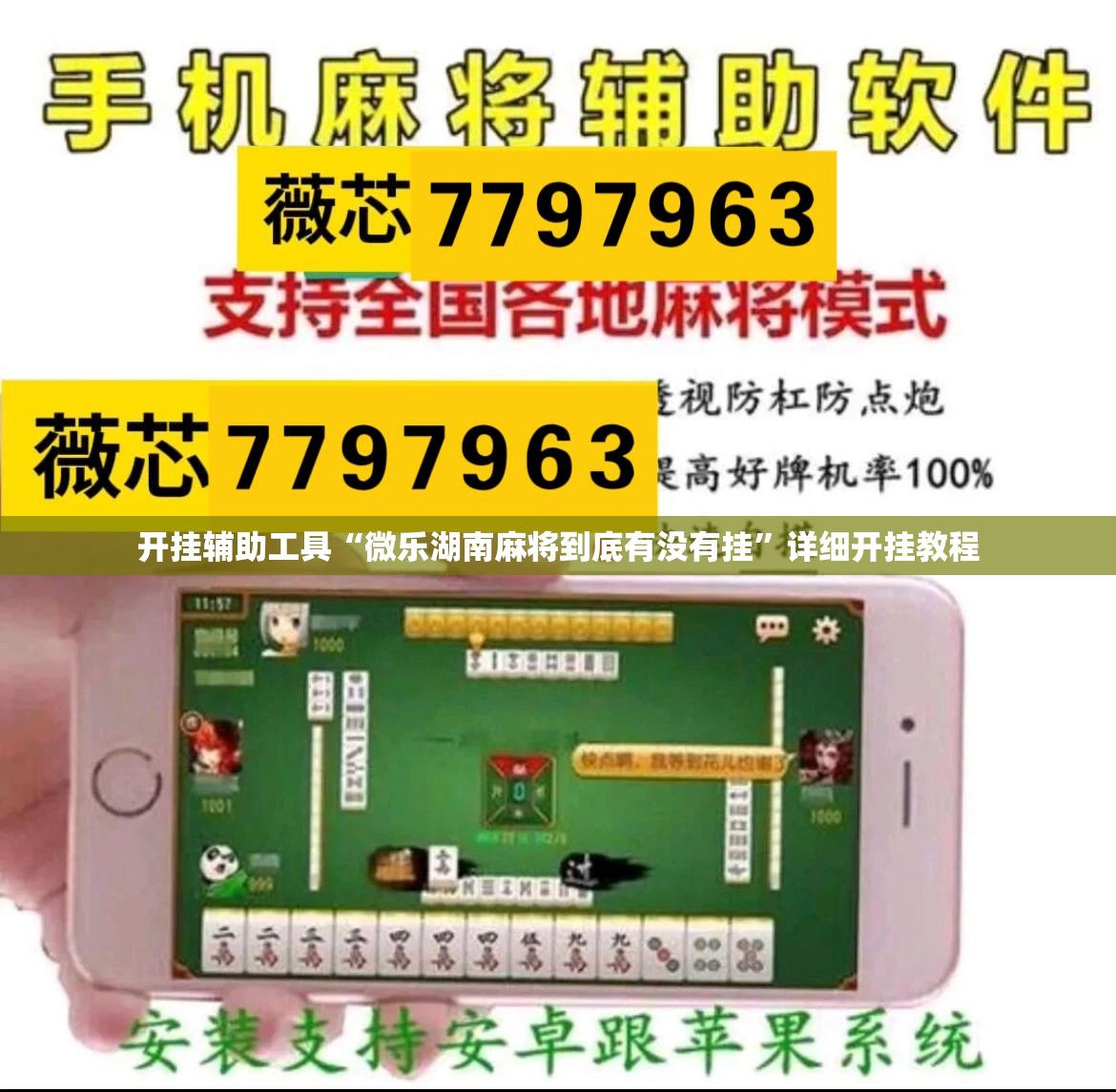 开挂辅助工具“微乐湖南麻将到底有没有挂”详细开挂教程